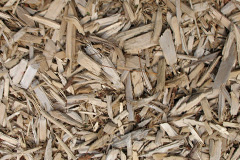 biomass boilers Llanidloes